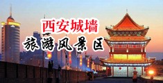 国外操妇女逼直插中国陕西-西安城墙旅游风景区